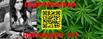молекула духа Краснодар